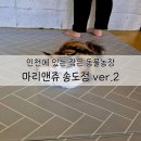 마리앤쥬 이미지