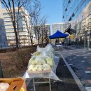 강서구-55 이미지