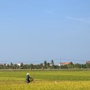 골드에그랑 이미지