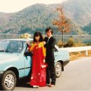 보문약국 | 펌)망한 신혼여행🎎 사례 제가 상위권일거같아요. “나한테 시집와줘서 고맙다”