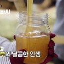 서화면 용늪길 강원 네이버블로그