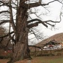 영동큰사랑약국 이미지