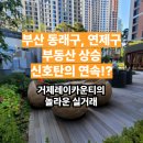 데시앙예가공인중개사사무소 | 부산 동래구, 연제구 부동산 상승 신호탄의 연속!? (거제레이카운티 신고가)