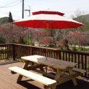 노적애뜰 이미지