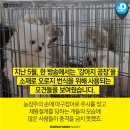 배약국 이미지