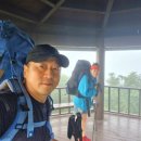 대로2-31 이미지