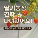 귀농농장 | 노트] 체험과 배움이 공존하는 현장, 치유앤딸기농장을 다녀오다 - 화성시 귀농귀촌 아카데미 11회차 후기