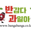 동민과일