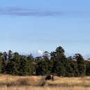 북촌리멤버 | [Jeju] 제주도 가족 여행 숙소 추천 [북촌리멤버] 후기