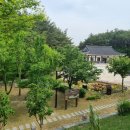 울산동학관 티스토리