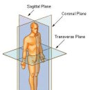 step 복싱 이미지