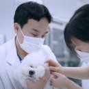 조원 동물병원 이미지