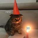 NR-5[거제북로]-하-8 | 내 에어팟 훔쳐 간 놈 나와라 I 2025년을 마무리하며 그리고 2026년을 시작하며
