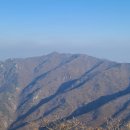 청도어물 이미지