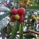 하영올레 3코스 이미지