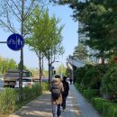 아이리스PC 잠실점 네이버블로그