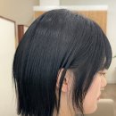 도희미용실 | 청주 송절동 미용실 태슬컷 후기, 도희선생님 스타일로 완성