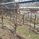 예닮농장 이미지