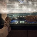 퀸스 휘트니스 | 호주 더스타 그랜드 브리즈번 호텔 수영장 카지노 헬스장 스카이덱 후기