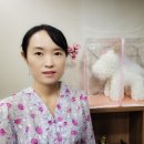 애니원코리아 이미지