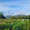 회덕농장 이미지