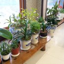 풍경찻집 이미지