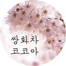 '제2 소라넷' 벗방 팝콘티비 대주주 → 강남구청장 조성명 (재산 532억으로 공직자 중 1위) 이미지