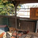 한우리농장 이미지