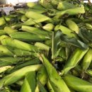 천혜농장 이미지