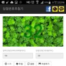 뿌꾸맘네