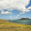 꽃피는 풍경 | 2026 제주 휴애리 자연생활공원 매화축제 2월 제주도 가장 먼저 피는 꽃 실시간 방문 후기