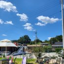 마리올라 이미지