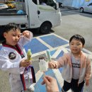 트리니티태권도 민락도장 이미지