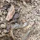 동욱농장 이미지