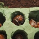 송인농장 이미지