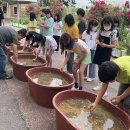 땅끝황토친환경영농조합법인