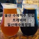 트레비어일산해수욕장점