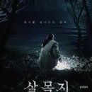 오동성 | 살목지 영화 후기 롯데시네마 상영 95분간의 공포