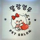 멍무이 쌀롱 | 부산애견미용 잘하는 곳 믿고 맡길 수 있는 펫살롱 말랑멍무