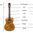 기타의 종류 1 - 클래식 기타 이미지