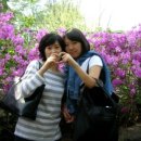 대흥어린이공원 이미지