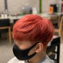 하이브레드 이미지