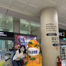 성산마마스테이