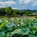 증평민속체험박물관 이미지