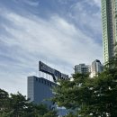 굽네치킨마산회원점 | 26년 6월 5일 야구 직관 후기: LG vs NC, 창단 15주년