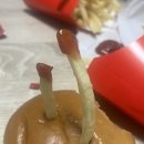 [제주여행_산토니하이볼x코인노래방x뽑기대장x왕가네탕후루x맥날x보드게임]