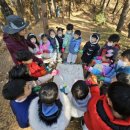 파주시유아숲체험원 이미지