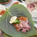 상대향어횟집 | 진주 향어회 맛집 / 회를 배불리 먹는다고? / 맛있어서 한접시 더 시켜먹은 상대향어횟집 내돈내산 후기