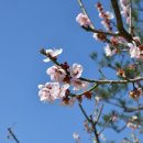 메르덴치과병원 이미지