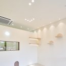 애견미용실 몽 이미지